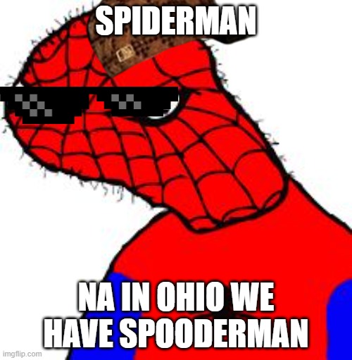 spooder man | SPIDERMAN; NA IN OHIO WE HAVE SPOODERMAN | image tagged in spooder man | made w/ Imgflip meme maker