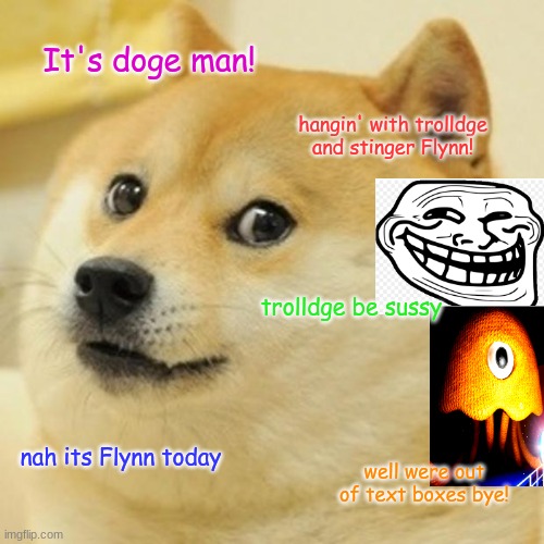 doge | It's doge man! hangin' with trolldge and stinger Flynn! trolldge be sussy; nah its Flynn today; well were out of text boxes bye! | image tagged in memes,doge | made w/ Imgflip meme maker