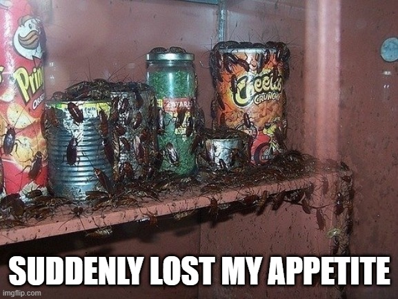 La Cucaracha | SUDDENLY LOST MY APPETITE | image tagged in unsee juice | made w/ Imgflip meme maker