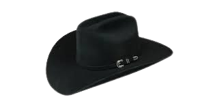 High Quality cowboy hat Blank Meme Template