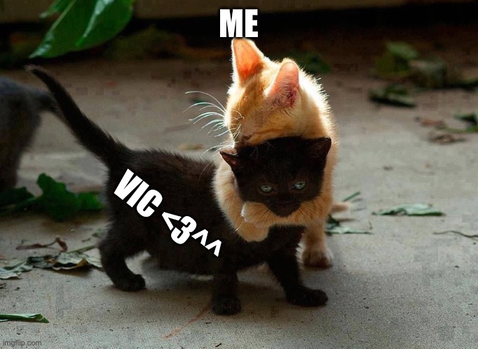 kitten hug | ME VIC <3^^ | image tagged in kitten hug | made w/ Imgflip meme maker