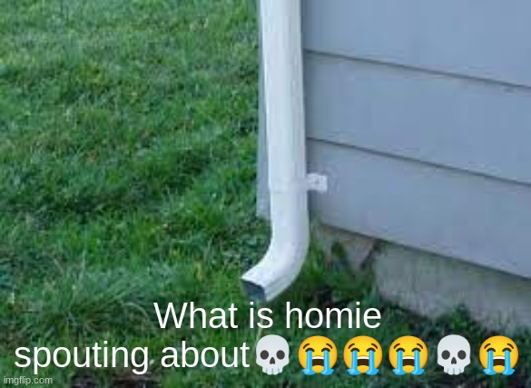 What is homie spouting about💀😭😭😭💀😭 | made w/ Imgflip meme maker