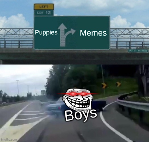 Boys be like | Puppies; Memes; Boys | image tagged in memes,left exit 12 off ramp | made w/ Imgflip meme maker