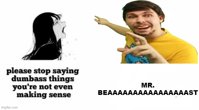 MR BEAST | MR. BEAAAAAAAAAAAAAAAAST | image tagged in mrbeast,epic rap battles of history | made w/ Imgflip meme maker