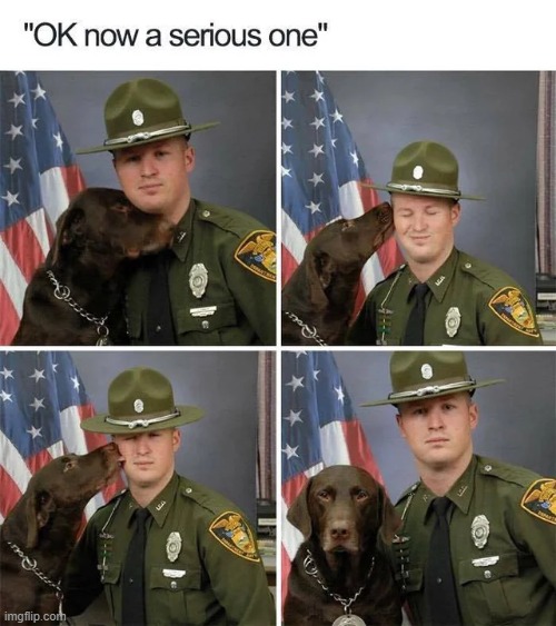 image tagged in wholesome | made w/ Imgflip meme maker