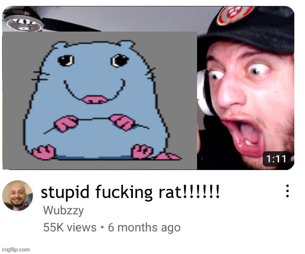 stupid fucking rat!!!!!! | made w/ Imgflip meme maker