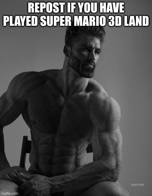 just found that game in the attic | REPOST IF YOU HAVE PLAYED SUPER MARIO 3D LAND | image tagged in giga chad | made w/ Imgflip meme maker