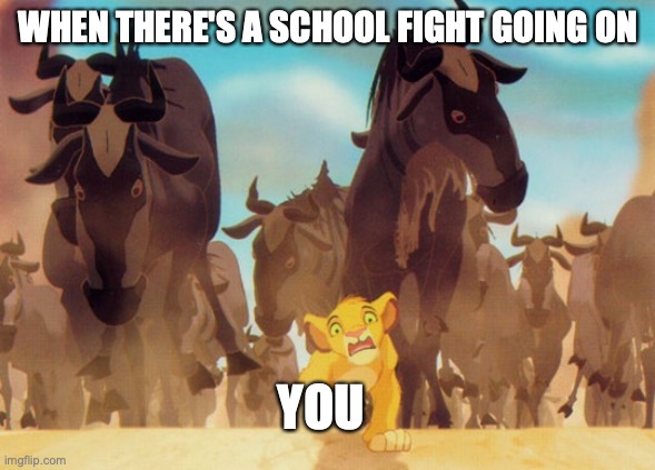 This is for sure true | WHEN THERE'S A SCHOOL FIGHT GOING ON; YOU | image tagged in lion king stampede,school meme,relatable memes,funny memes | made w/ Imgflip meme maker