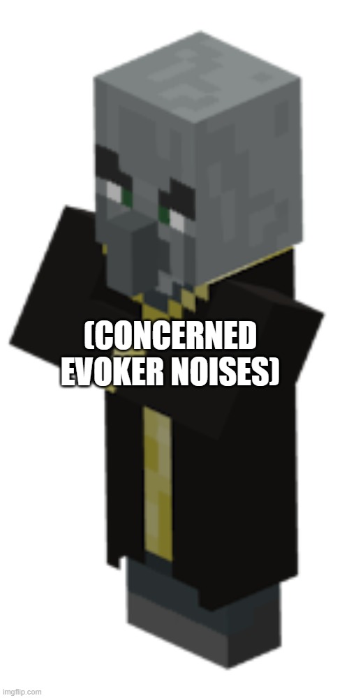 Evoker | (CONCERNED EVOKER NOISES) | image tagged in evoker | made w/ Imgflip meme maker