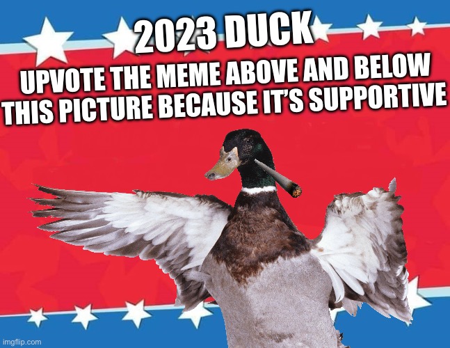 Upvote the meme above or below because it’s supportive | 2023 DUCK; UPVOTE THE MEME ABOVE AND BELOW THIS PICTURE BECAUSE IT’S SUPPORTIVE | image tagged in fun,duck | made w/ Imgflip meme maker