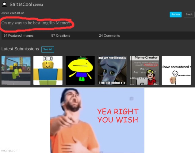 underage user wishes to become the best with his lame ass underage memes | YEA RIGHT YOU WISH | made w/ Imgflip meme maker