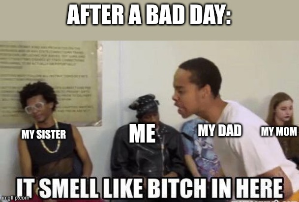 it smell like bitch in here | AFTER A BAD DAY:; MY DAD; MY MOM; ME; MY SISTER | image tagged in it smell like bitch in here | made w/ Imgflip meme maker