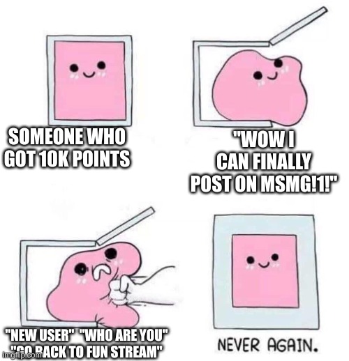 personal experience moment | SOMEONE WHO GOT 10K POINTS; "WOW I CAN FINALLY POST ON MSMG!1!"; "NEW USER"  "WHO ARE YOU"
"GO BACK TO FUN STREAM" | image tagged in never again | made w/ Imgflip meme maker