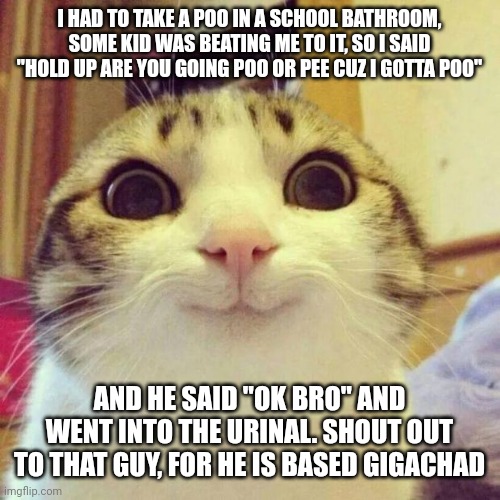 W in the chat | I HAD TO TAKE A POO IN A SCHOOL BATHROOM, SOME KID WAS BEATING ME TO IT, SO I SAID "HOLD UP ARE YOU GOING POO OR PEE CUZ I GOTTA POO"; AND HE SAID "OK BRO" AND WENT INTO THE URINAL. SHOUT OUT TO THAT GUY, FOR HE IS BASED GIGACHAD | image tagged in memes,smiling cat,w,ww,www | made w/ Imgflip meme maker