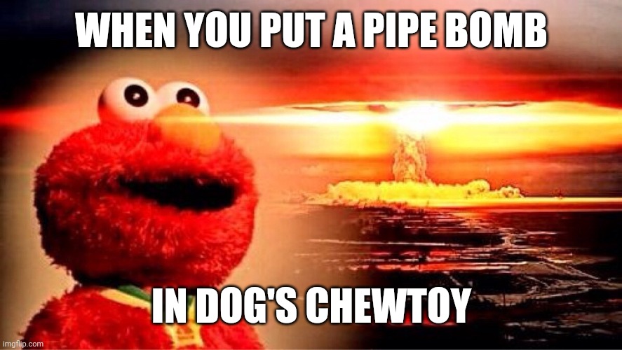 Explosive title | WHEN YOU PUT A PIPE BOMB; IN DOG'S CHEWTOY | image tagged in elmo nuclear explosion | made w/ Imgflip meme maker