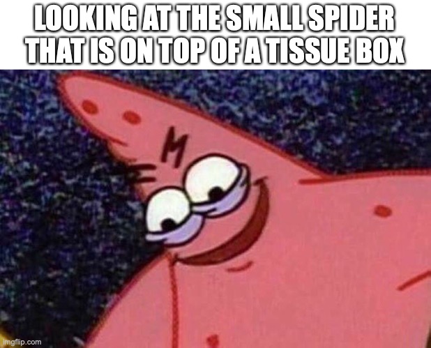 We all have felt that feeling | LOOKING AT THE SMALL SPIDER THAT IS ON TOP OF A TISSUE BOX | image tagged in evil patrick,funny,spider,memes,goofy | made w/ Imgflip meme maker