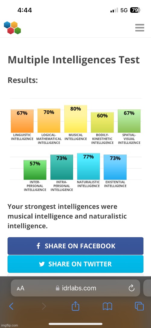 multiple intelligences test