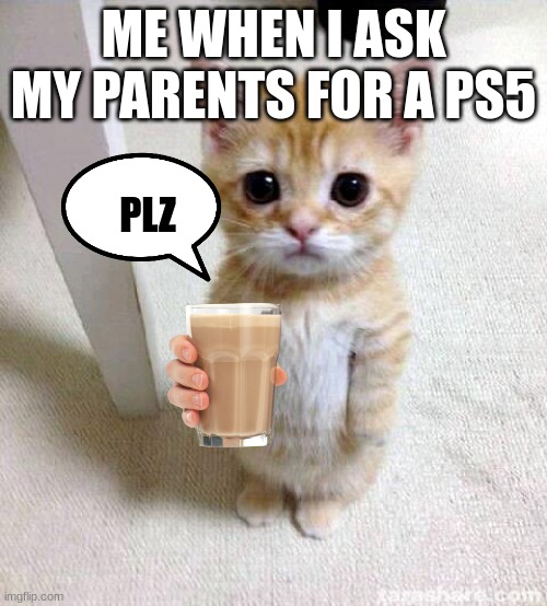 plwease | ME WHEN I ASK MY PARENTS FOR A PS5; PLZ | image tagged in memes,cute cat | made w/ Imgflip meme maker