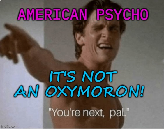 AMERICAN PSYCHO | AMERICAN PSYCHO; IT'S NOT AN OXYMORON! | image tagged in you're next pal | made w/ Imgflip meme maker