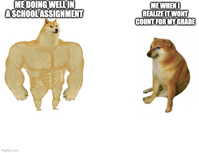 Buff Doge vs. Cheems | ME DOING WELL IN A SCHOOL ASSIGNMENT; ME WHEN I REALIZE IT WONT COUNT FOR MY GRADE | image tagged in memes,buff doge vs cheems | made w/ Imgflip meme maker