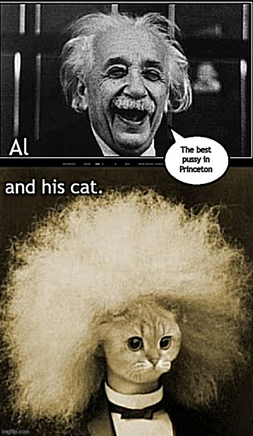 Al & his cat | image tagged in memes,dark humor | made w/ Imgflip meme maker
