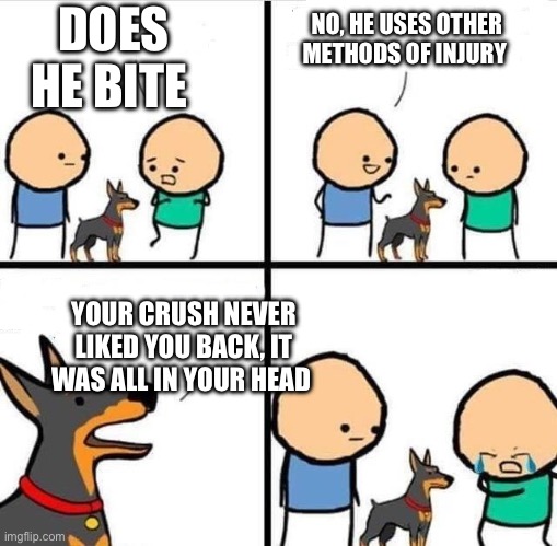 Dog Hurt Comic | DOES HE BITE; NO, HE USES OTHER METHODS OF INJURY; YOUR CRUSH NEVER LIKED YOU BACK, IT WAS ALL IN YOUR HEAD | image tagged in dog hurt comic | made w/ Imgflip meme maker