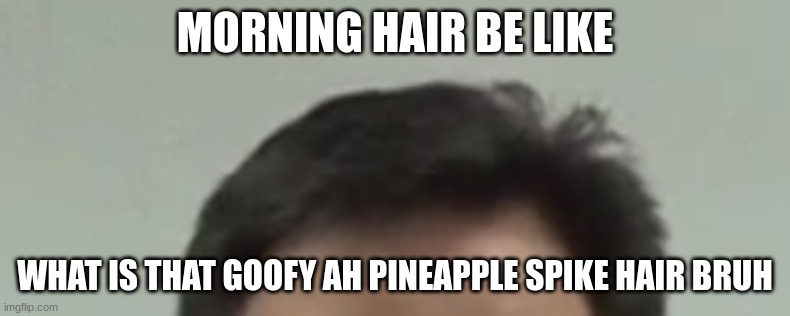 random image i took a screenshot of | MORNING HAIR BE LIKE; WHAT IS THAT GOOFY AH PINEAPPLE SPIKE HAIR BRUH | image tagged in bad hair day | made w/ Imgflip meme maker