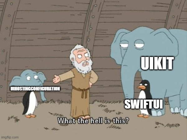 What the hell is this? | UIKIT; UIHOSTINGCONFIGURATION; SWIFTUI | image tagged in what the hell is this | made w/ Imgflip meme maker