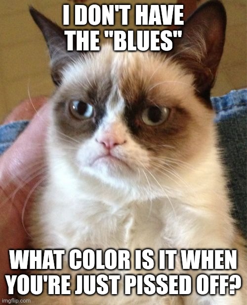 Grumpy Cat | I DON'T HAVE THE "BLUES"; WHAT COLOR IS IT WHEN YOU'RE JUST PISSED OFF? | image tagged in memes,grumpy cat | made w/ Imgflip meme maker