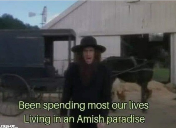 Amish Paradise | image tagged in amish paradise | made w/ Imgflip meme maker