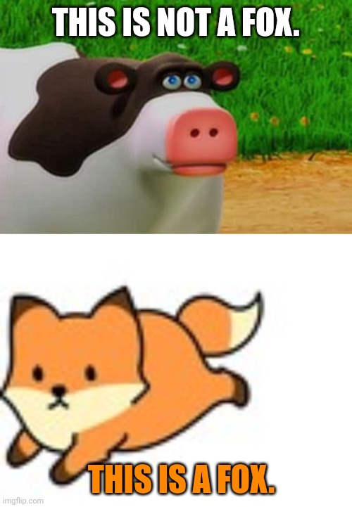 Important fox facts. | THIS IS NOT A FOX. THIS IS A FOX. | image tagged in otis the perhaps cow,foxes,are not cows | made w/ Imgflip meme maker