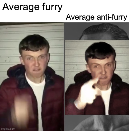 Average Fan vs Average Enjoyer | Average furry Average anti-furry | image tagged in average fan vs average enjoyer | made w/ Imgflip meme maker