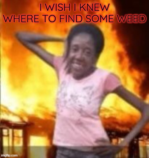 SLAY | I WISH I KNEW WHERE TO FIND SOME WEED | image tagged in slay | made w/ Imgflip meme maker