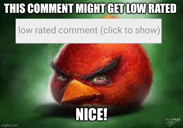 Realistic Red Angry Birds | THIS COMMENT MIGHT GET LOW RATED; NICE! | image tagged in realistic red angry birds | made w/ Imgflip meme maker
