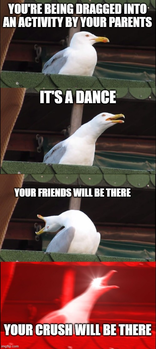 Inhaling Seagull | YOU'RE BEING DRAGGED INTO AN ACTIVITY BY YOUR PARENTS; IT'S A DANCE; YOUR FRIENDS WILL BE THERE; YOUR CRUSH WILL BE THERE | image tagged in memes,inhaling seagull | made w/ Imgflip meme maker