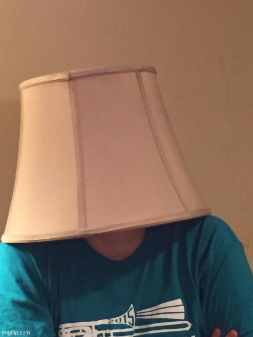 Lampshade of Disapproval | image tagged in lampshade of disapproval | made w/ Imgflip meme maker