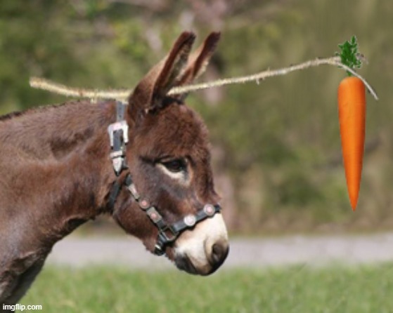 carrot on a stick | image tagged in carrot on a stick | made w/ Imgflip meme maker