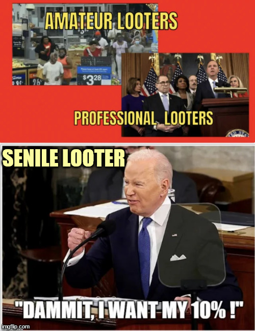 Know your looters... | SENILE LOOTER | image tagged in looters,dementia,joe biden | made w/ Imgflip meme maker