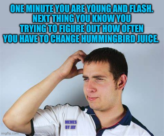 Hey...Wait | ONE MINUTE YOU ARE YOUNG AND FLASH.
NEXT THING YOU KNOW YOU TRYING TO FIGURE OUT HOW OFTEN YOU HAVE TO CHANGE HUMMINGBIRD JUICE. MEMES BY JAY | image tagged in my time has come,time machine,birds | made w/ Imgflip meme maker
