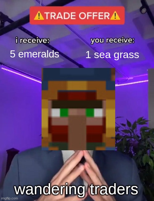 wandering traders be like | 5 emeralds; 1 sea grass; wandering traders | image tagged in trade offer | made w/ Imgflip meme maker