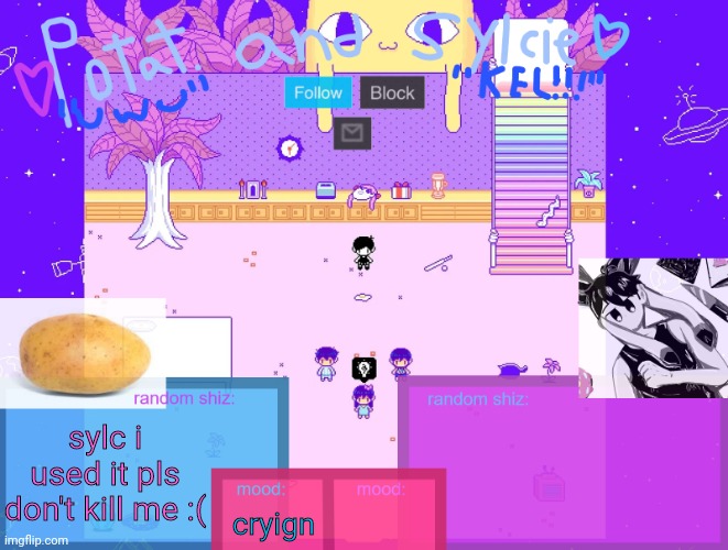 sylc x potat | sylc i used it pls don't kill me :(; cryign | image tagged in sylc x potat | made w/ Imgflip meme maker