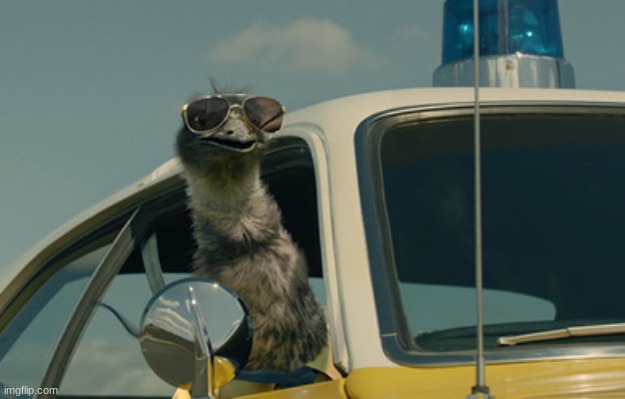 Limu Emu | image tagged in limu emu | made w/ Imgflip meme maker