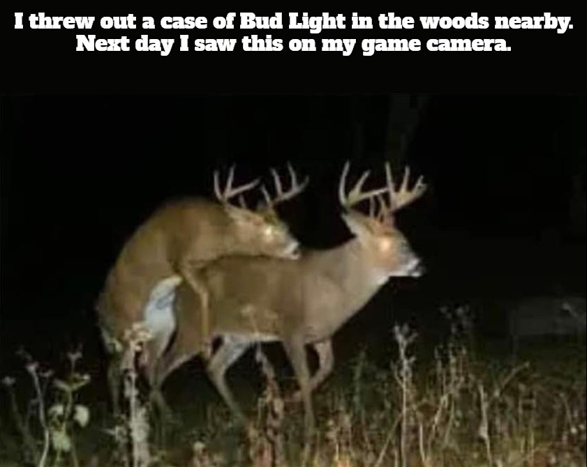 Brokebuck Mountain | image tagged in bud light,queers and steers,gay sex,tired of hearing about transgenders,butt sex,perverts | made w/ Imgflip meme maker