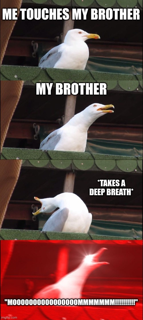 Inhaling Seagull Meme | ME TOUCHES MY BROTHER; MY BROTHER; *TAKES A DEEP BREATH*; "MOOOOOOOOOOOOOOOOMMMMMMM!!!!!!!!!!" | image tagged in memes,inhaling seagull | made w/ Imgflip meme maker