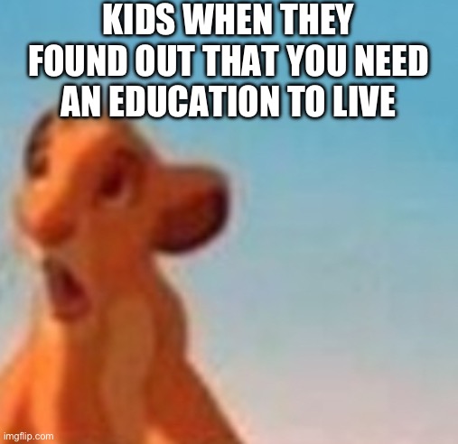Simba face | KIDS WHEN THEY FOUND OUT THAT YOU NEED AN EDUCATION TO LIVE | image tagged in simba shadowy place | made w/ Imgflip meme maker