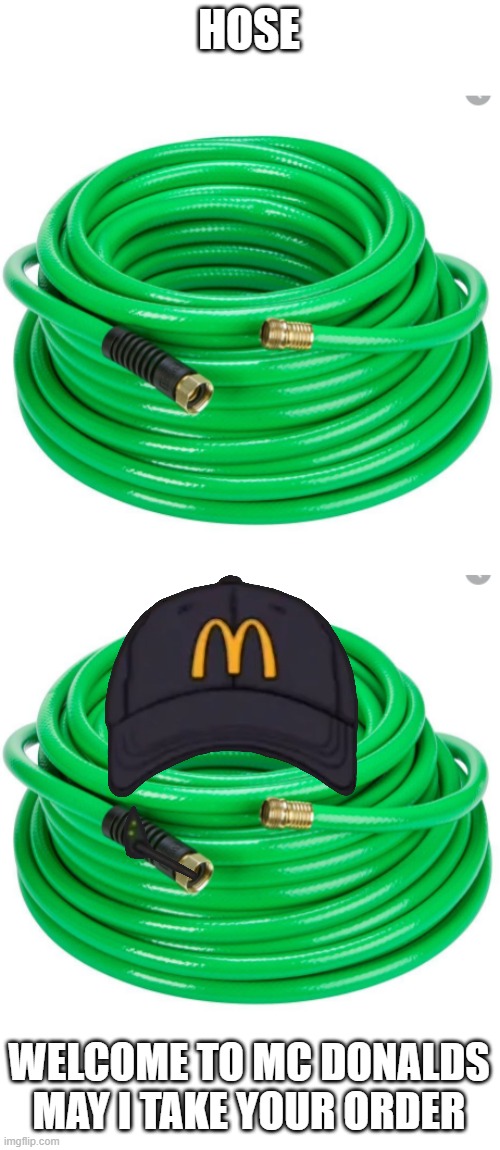 ill take a whopper | HOSE; WELCOME TO MC DONALDS MAY I TAKE YOUR ORDER | image tagged in hose,mcdonalds | made w/ Imgflip meme maker