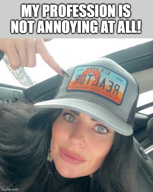 Realtor | MY PROFESSION IS NOT ANNOYING AT ALL! | image tagged in realtor | made w/ Imgflip meme maker
