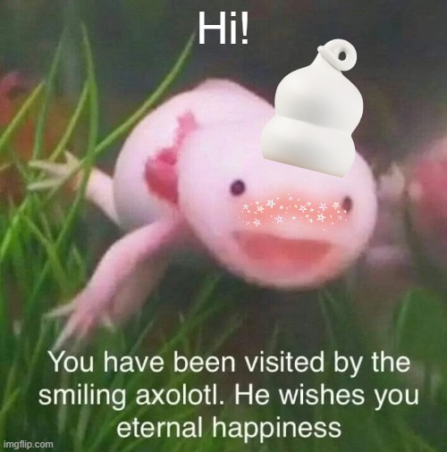 wholesom axolotl | Hi! | image tagged in wholesom axolotl | made w/ Imgflip meme maker