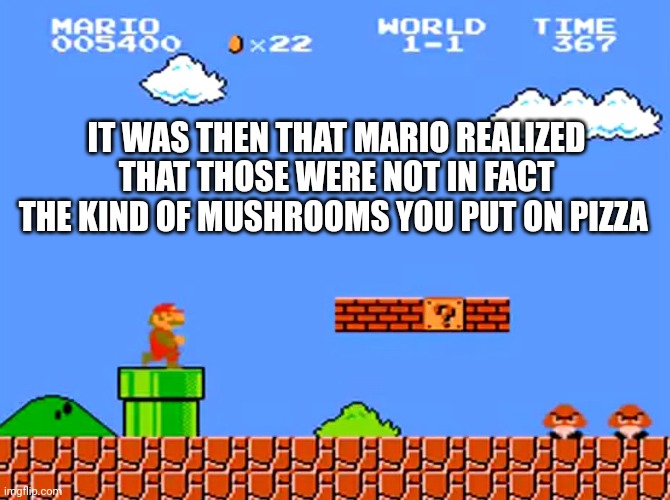 Super Mario bros classic | IT WAS THEN THAT MARIO REALIZED THAT THOSE WERE NOT IN FACT THE KIND OF MUSHROOMS YOU PUT ON PIZZA | image tagged in super mario bros classic | made w/ Imgflip meme maker