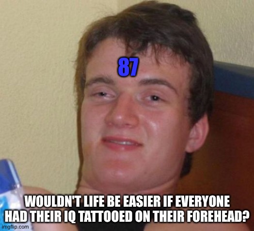 10 Guy | 87; WOULDN'T LIFE BE EASIER IF EVERYONE HAD THEIR IQ TATTOOED ON THEIR FOREHEAD? | image tagged in memes,10 guy | made w/ Imgflip meme maker